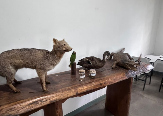 Zoológico de Guarulhos realiza bate-papo sobre pequenas atitudes que ajudam a preservar o meio ambiente – EDUCAÇÃO E ORIENTAÇÃO AMBIENTAL