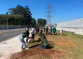 Prefeitura de Guarulhos planta no Macedo mais 32 mudas de árvores nativas da Mata Atlântica – CUIDANDO DO MEIO AMBIENTE