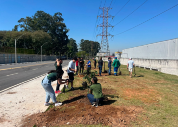 Prefeitura de Guarulhos planta no Macedo mais 32 mudas de árvores nativas da Mata Atlântica – CUIDANDO DO MEIO AMBIENTE