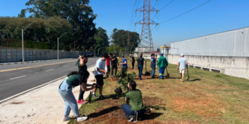 Prefeitura de Guarulhos planta no Macedo mais 32 mudas de árvores nativas da Mata Atlântica – CUIDANDO DO MEIO AMBIENTE