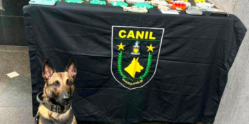 GCM de Guarulhos prende três suspeitos por tráfico e apreende mais de 2 mil porções de drogas na cidade – SEGURANÇA PÚBLICA