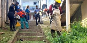 Prefeitura de Guarulhos reforça serviço de zeladoria com roçagem do mato alto em bairros da cidade – ZELADORIA URBANA