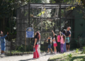 Zoológico de Guarulhos celebra o Dia da Árvore com circuito interativo e trilha sobre saúde mental – INSCREVA-SE NO LOCAL – CONSCIENTIZAÇÃO AMBIENTAL E BEM-ESTAR