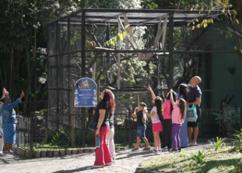 Zoológico de Guarulhos celebra o Dia da Árvore com circuito interativo e trilha sobre saúde mental – INSCREVA-SE NO LOCAL – CONSCIENTIZAÇÃO AMBIENTAL E BEM-ESTAR