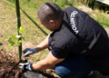 Prefeitura de Guarulhos realiza plantios de 470 mudas de árvores nativas da Mata Atlântica ao longo de setembro – CUIDANDO DO MEIO AMBIENTE