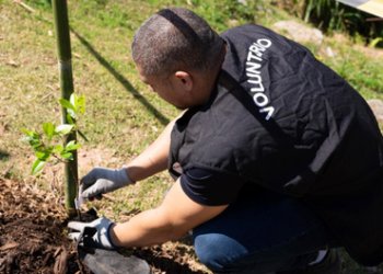 Prefeitura de Guarulhos realiza plantios de 470 mudas de árvores nativas da Mata Atlântica ao longo de setembro – CUIDANDO DO MEIO AMBIENTE