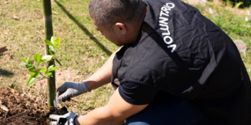 Prefeitura de Guarulhos realiza plantios de 470 mudas de árvores nativas da Mata Atlântica ao longo de setembro – CUIDANDO DO MEIO AMBIENTE