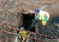 Prefeitura de Guarulhos limpa caixas de drenagem ao longo da avenida Santos Dumont para evitar alagamentos – ZELADORIA URBANA – DENUNCIE IRREGULARIDADES