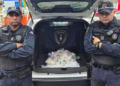 GCM de Guarulhos prende três suspeitos por tráfico e apreende mais de 10 kg de drogas – COMBATE AO TRÁFICO DE DROGAS