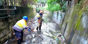 Prefeitura de Guarulhos promove ações de zeladoria em diversos bairros da cidade – ZELADORIA URBANA – DENUNCIE IRREGULARIDADES