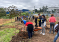 Guarulhos celebra Dia da Árvore com plantio de mais de 450 mudas de árvores nativas da Mata Atlântica – GUARULHOS MAIS VERDE