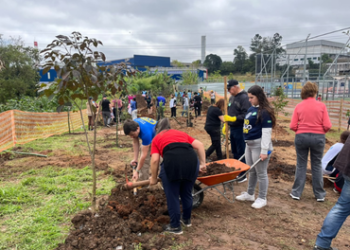 Guarulhos celebra Dia da Árvore com plantio de mais de 450 mudas de árvores nativas da Mata Atlântica – GUARULHOS MAIS VERDE