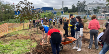 Guarulhos celebra Dia da Árvore com plantio de mais de 450 mudas de árvores nativas da Mata Atlântica – GUARULHOS MAIS VERDE