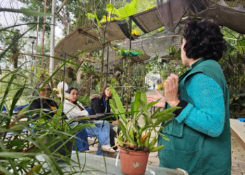 Agenda ambiental de outubro proporciona oficinas gratuitas em Guarulhos – INSCREVA-SE JÁ – EDUCAÇÃO AMBIENTAL