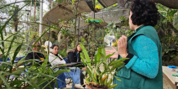 Agenda ambiental de outubro proporciona oficinas gratuitas em Guarulhos – INSCREVA-SE JÁ – EDUCAÇÃO AMBIENTAL