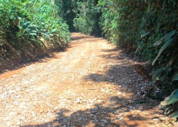 Estrada dos Veigas recebe serviço de conservação da Prefeitura de Guarulhos – INFRAESTRUTURA URBANA