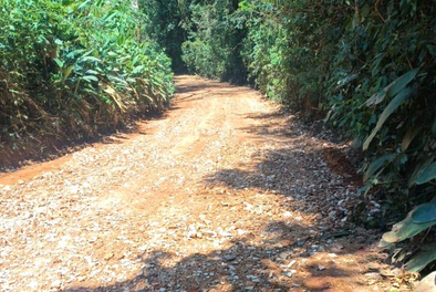 Estrada dos Veigas recebe serviço de conservação da Prefeitura de Guarulhos – INFRAESTRUTURA URBANA