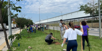Prefeitura de Guarulhos planta 470 mudas de árvores nativas da Mata Atlântica em setembro – CUIDANDO DO MEIO AMBIENTE