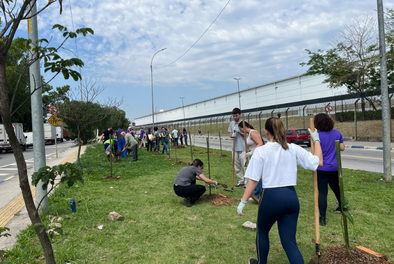 Prefeitura de Guarulhos planta 470 mudas de árvores nativas da Mata Atlântica em setembro – CUIDANDO DO MEIO AMBIENTE