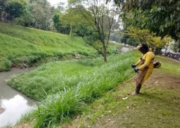 Equipes de roçagem da Prefeitura de Guarulhos atuam em diversos pontos da região central – ZELADORIA URBANA