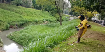 Equipes de roçagem da Prefeitura de Guarulhos atuam em diversos pontos da região central – ZELADORIA URBANA