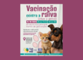 Vacinação de cães e gatos contra a raiva ocorre nesta quinta-feira no CCZ de Guarulhos – CONTROLE DE ZOONOSES – LEVE SEUS PETS