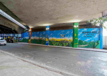 Prefeitura de Guarulhos transforma pilastras do viaduto Saraceni em galeria de artes sobre a história de Guarulhos – ARTE URBANA