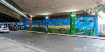 Prefeitura de Guarulhos transforma pilastras do viaduto Saraceni em galeria de artes sobre a história de Guarulhos – ARTE URBANA