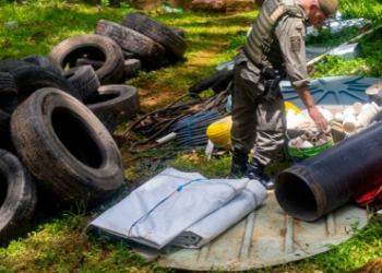 GCM de Guarulhos flagra crime ambiental no Parque Estadual Itaberaba – COMBATE AO CRIME AMBIENTAL