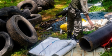 GCM de Guarulhos flagra crime ambiental no Parque Estadual Itaberaba – COMBATE AO CRIME AMBIENTAL