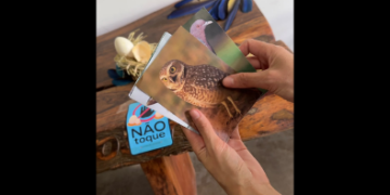 Mundo mágico das aves é tema da atividade Passarinhando pelo Zoo em Guarulhos – CONECTE-SE COM A NATUREZA