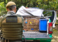 GCM resgata 19 aves silvestres em ações de proteção à fauna em Guarulhos – PROTEÇÃO AO MEIO AMBIENTE